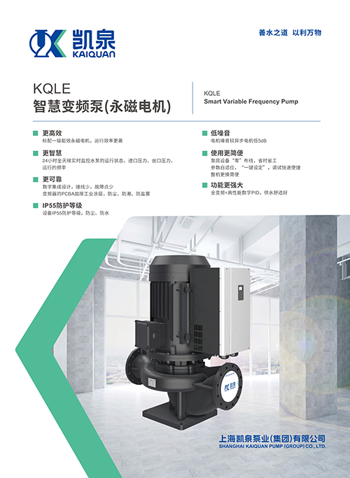 KQLE智慧變頻泵(永磁電機(jī))